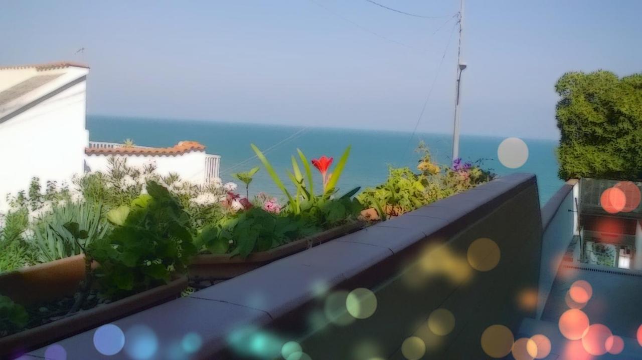 Affittacamere Murgenere Vico Del Gargano Buitenkant foto