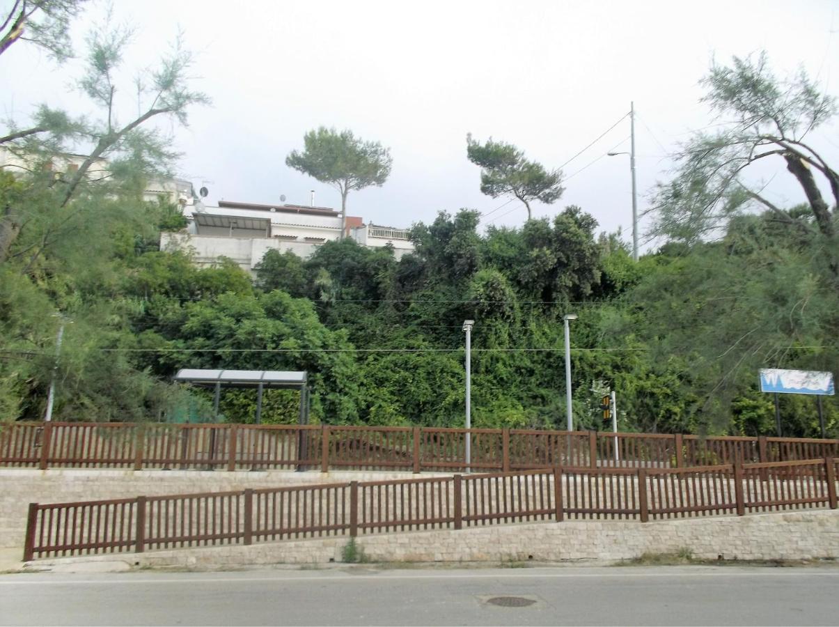 Affittacamere Murgenere Vico Del Gargano Buitenkant foto