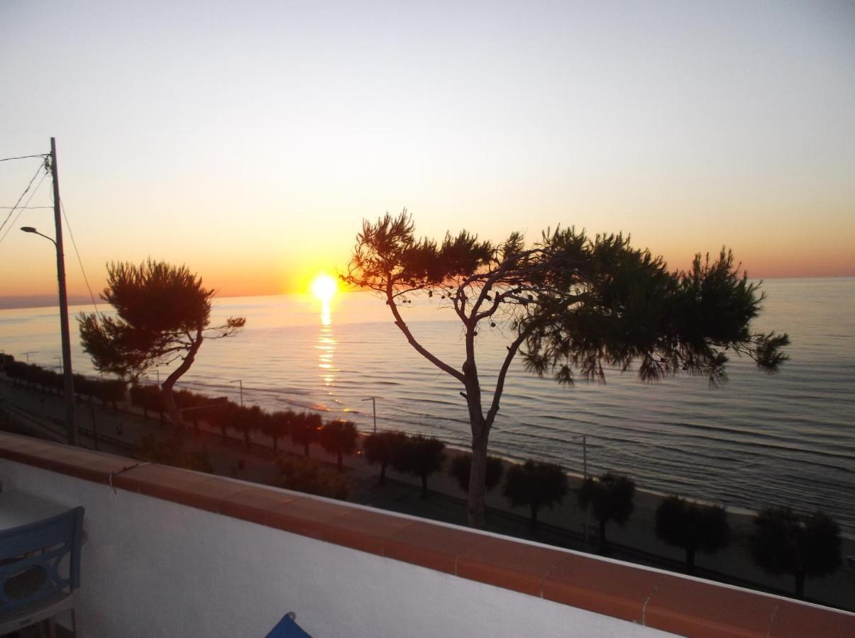 Affittacamere Murgenere Vico Del Gargano Buitenkant foto