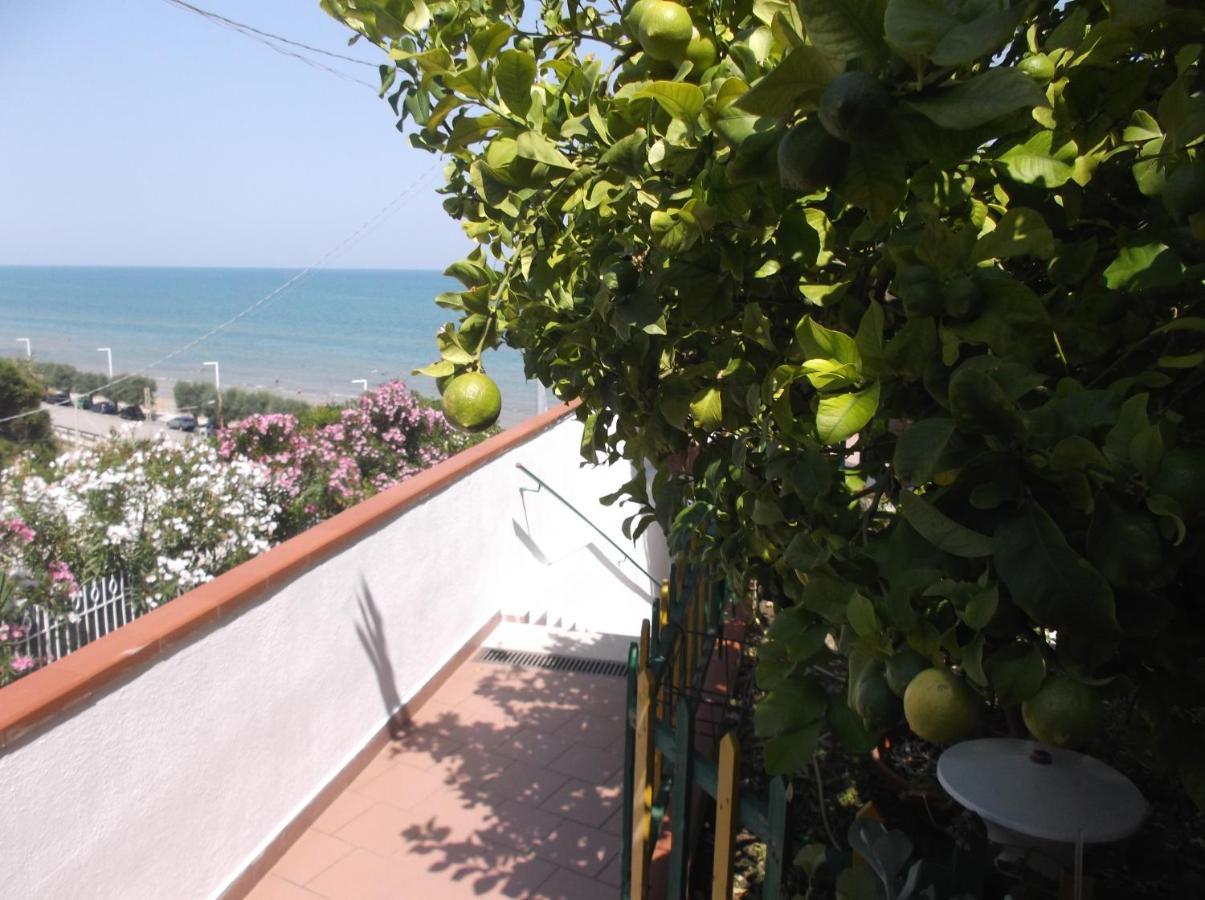 Affittacamere Murgenere Vico Del Gargano Buitenkant foto